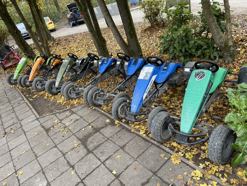 Karts in einer Reihe im Herbstlaub